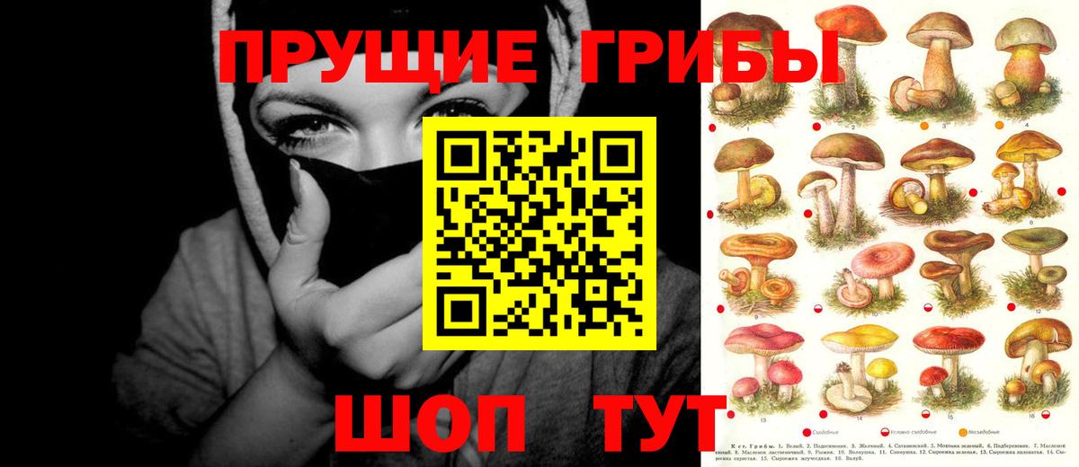 Псилоцибиновые грибы мицелий Боровичи